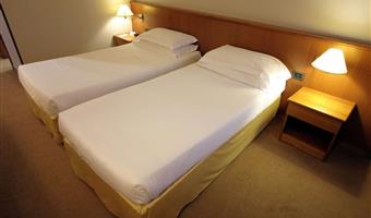 2 single beds, standard room, wi-fi, premium tv channels