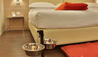 1 king bed, non-smoking, pet friendly room, 40 square meters, dog or cat kit, cromotherapy