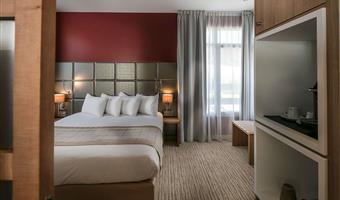 suite -1 letto king size, camere non fumatori, una camera da letto, salottino, divano letto