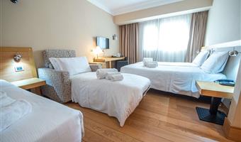 1 letto king size 1 letto singolo, camera economy, divano letto per uno, convertibile in due letti gemelli, wi-fi