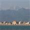 hotel viareggio c 98147 hp