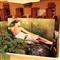 hotel a barletta m 98207 hp