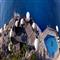 hotel in amalfi-ravello-mare j 98187 hp