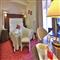 hotel in bologna i 98135 hp