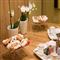 hotel in modena k 98237 hp