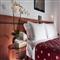 hotel in rimini k 98227 hp