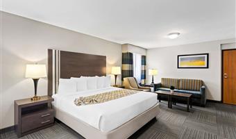 Zimmer des Best Western Naperville Inn - Naperville - 14164