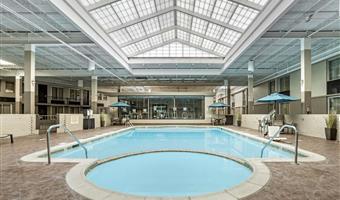 Pool des Best Western Plus Kingston Hotel and Conference Center - Kingston - 33159