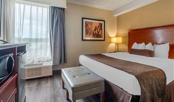 Zimmer des Best Western Fort Washington Inn - Fort Washington - 39094