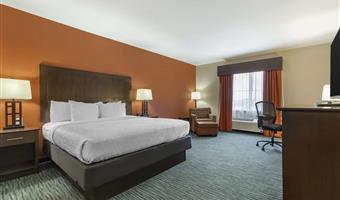 Zimmer des Best Western Plus Longhorn Inn & Suites - Luling - 44744