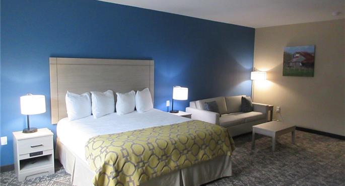 Suite des Best Western Decatur Inn - Decatur - 44803