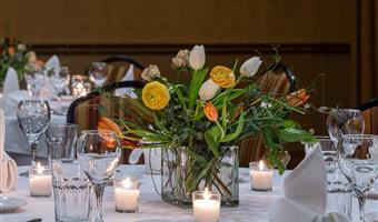 Tagungsräume des Best Western Plus Waterbury - Stowe - Waterbury - 46014