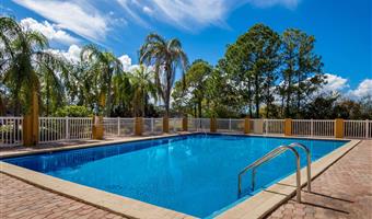 Pool des SureStay by Best Western St.Pete Clearwater Airport - Clearwater - 55196