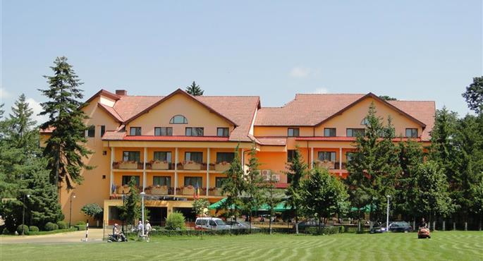 hotel in sibiu 77705 f