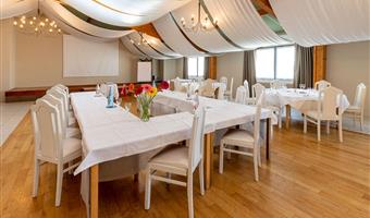 Tagungsräume des Best Western Le Relais de Laguiole Hotel & Spa - Laguiole - 93486