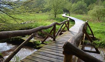 Best Western Hotel Brunnenhof - Weibersbrunn - 95506