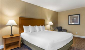 1 kingsize-bett, nichtraucher, high-speed-internetzugang, mikrowelle und kühlschrank, kaffeemaschine, bügeleisen und bügelbrett, haarfön, komplettes frühstück