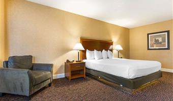 1 kingsize-bett, nichtraucher, business plus-zimmer:, sessel mit ottomane, mikrowelle und kühlschrank, high-speed-internetzugang, schreibtisch, komplettes frühstück