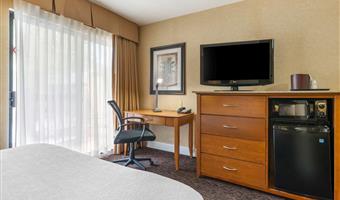 1 queensize-bett, nichtraucher, mikrowelle und kühlschrank, sofabett, mini-suite, high-speed-internetzugang, zwei fernseher, komplettes frühstück