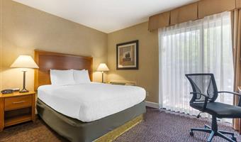 1 queensize-bett, nichtraucher, mikrowelle und kühlschrank, sofabett, mini-suite, high-speed-internetzugang, zwei fernseher, komplettes frühstück