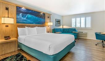 suite - 1 kingsize-bett, nichtraucher, separater wohnbereich, sofabett, mikrowelle und kühlschrank, komplettes frühstück