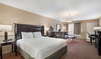 suite - 1 kingsize-bett, nichtraucher, sofabett, wet-bar, mikrowelle und minikühlschrank, komplettes frühstück