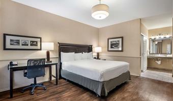 behindertengerechtes zimmer mit kingsize-bett, barrierearm ausgestattet, rollstuhlgerechte dusche, wet-bar, mikrowelle und minikühlschrank, nichtraucher, komplettes frühstück