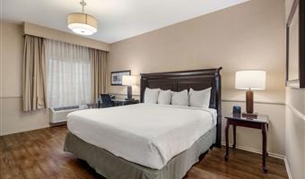 behindertengerechtes zimmer mit kingsize-bett, barrierearm ausgestattet, rollstuhlgerechte dusche, wet-bar, mikrowelle und minikühlschrank, nichtraucher, komplettes frühstück