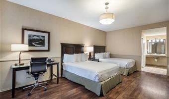 behindertengerecht, 2 doppelbetten, barrierearm ausgestattet, badewanne, wet-bar, mikrowelle und kühlschrank, wi-fi, nichtraucher, komplettes frühstück