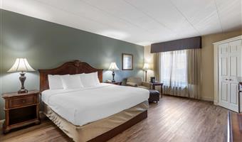 1 kingsize-bett, nichtraucher, business plus, mikrowelle und kühlschrank, stuhl und ottomane, komplettes frühstück