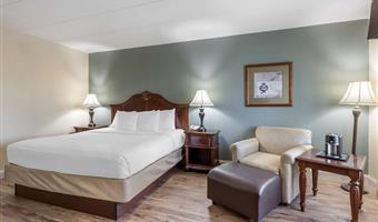 1 kingsize-bett, nichtraucher, business plus, mikrowelle und kühlschrank, stuhl und ottomane, komplettes frühstück