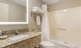 2 queensize-betten, nichtraucher, business plus, blick auf den pool, mikrowelle und kühlschrank, komplettes frühstück