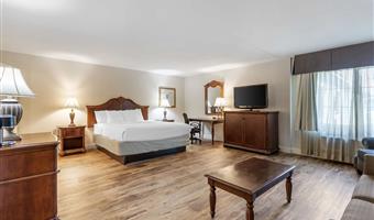 suite - 1 kingsize-bett, nichtraucher, business plus, jacuzzi-whirlpool, sofabett, stuhl und ottomane, komplettes frühstück