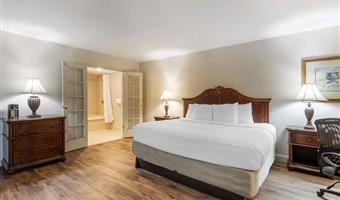 suite - 1 kingsize-bett, nichtraucher, business plus, jacuzzi-whirlpool, sofabett, stuhl und ottomane, komplettes frühstück