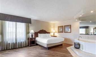 suite - 1 kingsize-bett, nichtraucher, business plus, jacuzzi-whirlpool, liege, mikrowelle und kühlschrank, komplettes frühstück