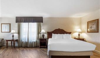 suite - 1 kingsize-bett, nichtraucher, business plus, jacuzzi-whirlpool, liege, mikrowelle und kühlschrank, komplettes frühstück