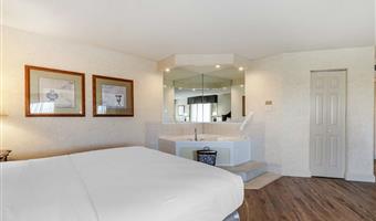 suite - 1 kingsize-bett, nichtraucher, business plus, jacuzzi-whirlpool, liege, mikrowelle und kühlschrank, komplettes frühstück