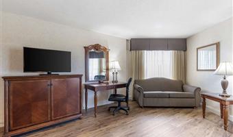 suite - 1 kingsize-bett, nichtraucher, business plus, jacuzzi-whirlpool, liege, mikrowelle und kühlschrank, komplettes frühstück