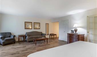 suite - 1 kingsize-bett, nichtraucher, erster stock, business plus, jacuzzi-whirlpool, sofabett, stuhl und ottomane, komplettes frühstück