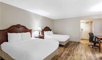 2 queensize-betten, barrierearm ausgestattet, kommunikationsassistent, rollstuhlgerechte dusche, nichtraucher, komplettes frühstück