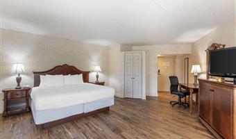 1 kingsize-bett, nichtraucher, business plus, deluxe-zimmer, übergroßes zimmer, stuhl und ottomane, komplettes frühstück