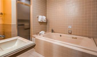 suite - 1 kingsize-bett, nichtraucher, sofabett, wannen-whirlpool mit jetsystem, mikrowelle und kühlschrank, walk in shower, komplettes frühstück