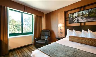 1 queensize-bett, nichtraucher, studio, mikrowelle und kühlschrank, wi-fi, komplettes frühstück