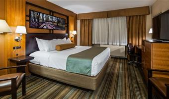 1 kingsize-bett, nichtraucher, wannen-whirlpool mit jetsystem, wi-fi, mikrowelle und kühlschrank, komplettes frühstück