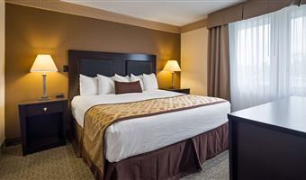 suite - 1 kingsize-bett, nichtraucher, separater wohnbereich, mikrowelle und kühlschrank, wi-fi, nur dusche, komplettes frühstück