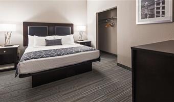 suite - 1 kingsize-bett, nichtraucher, separates schlafzimmer, kochnische, sofabett, nur dusche, komplettes frühstück