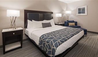 suite - 1 kingsize-bett, nichtraucher, separates schlafzimmer, mikrowelle und kühlschrank, wi-fi, sofabett, nur dusche, komplettes frühstück