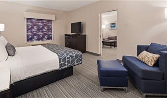 suite - 1 kingsize-bett, nichtraucher, separates schlafzimmer, mikrowelle und kühlschrank, wi-fi, sofabett, nur dusche, komplettes frühstück