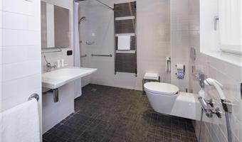 1 einzelbett, standardzimmer, behindertengerechtes zimmer