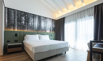 1 queensize-bett, nichtraucher, superior-zimmer, balkon, blick auf den see, kostenloses parken im parkhaus, kostenlose whirlpool-nutzung